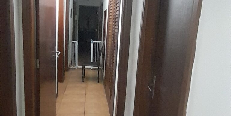 20260219_102646